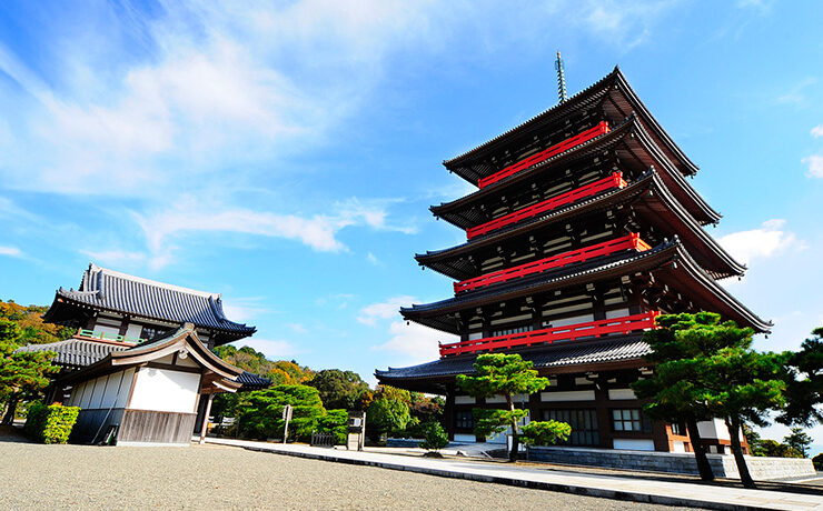 蓮華院誕生寺奥之院五重塔 (002)
